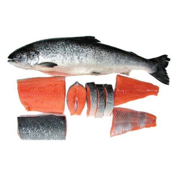 Cá Hồi Nguyên Con Tươi